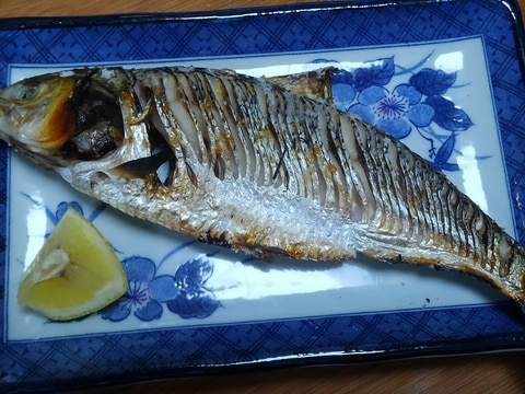 コノシロの塩焼き レシピ 作り方 By 浜の釣り人 楽天レシピ コノシロの塩焼き レシピ 作り方 By 浜の釣り人 楽天レシピ